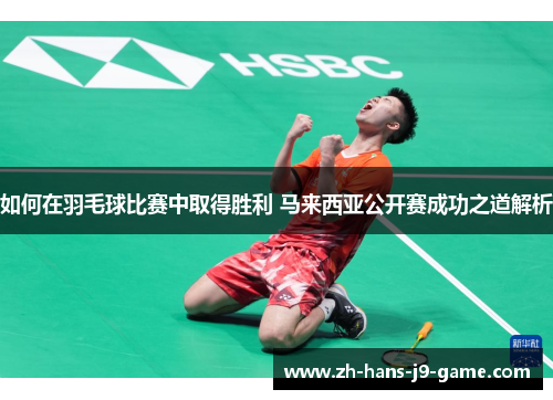 如何在羽毛球比赛中取得胜利 马来西亚公开赛成功之道解析