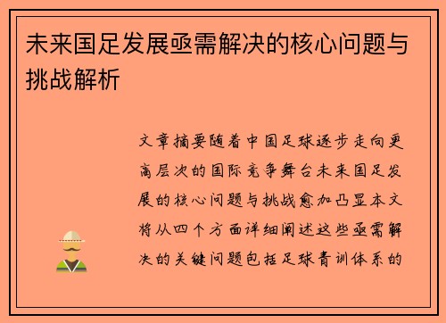 未来国足发展亟需解决的核心问题与挑战解析