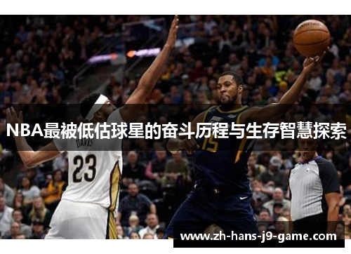 NBA最被低估球星的奋斗历程与生存智慧探索