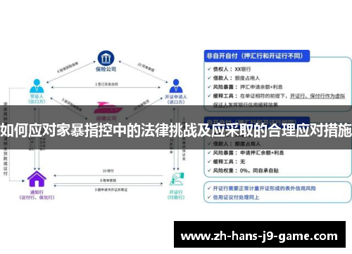 如何应对家暴指控中的法律挑战及应采取的合理应对措施