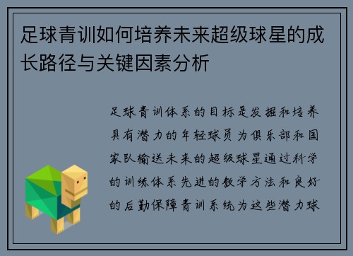 足球青训如何培养未来超级球星的成长路径与关键因素分析 足球青训如何培养未来超级球星的成长路径与关键因素分析