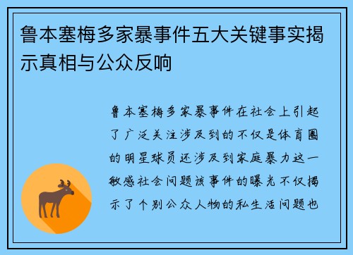 鲁本塞梅多家暴事件五大关键事实揭示真相与公众反响